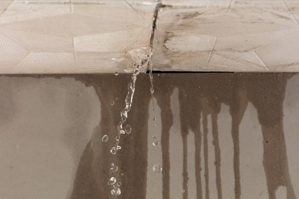Professional Water Damage Repair technician working in Benge, WA